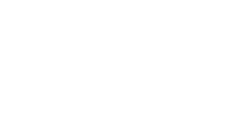 Aerial Land Surveying, D.P.C.