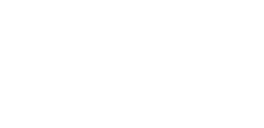 Aerial Land Surveying, D.P.C.